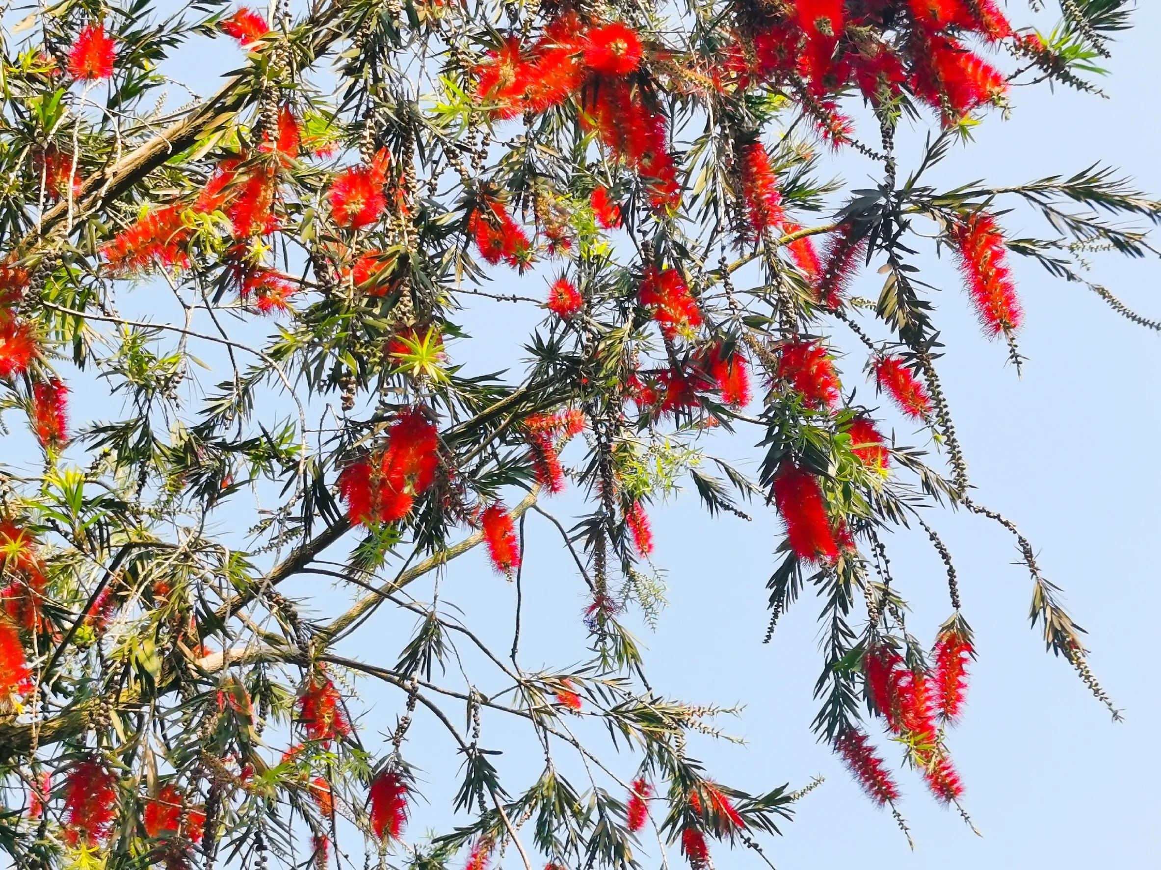 100种迷人的“数字花”,从零到一百万,真是太神奇了