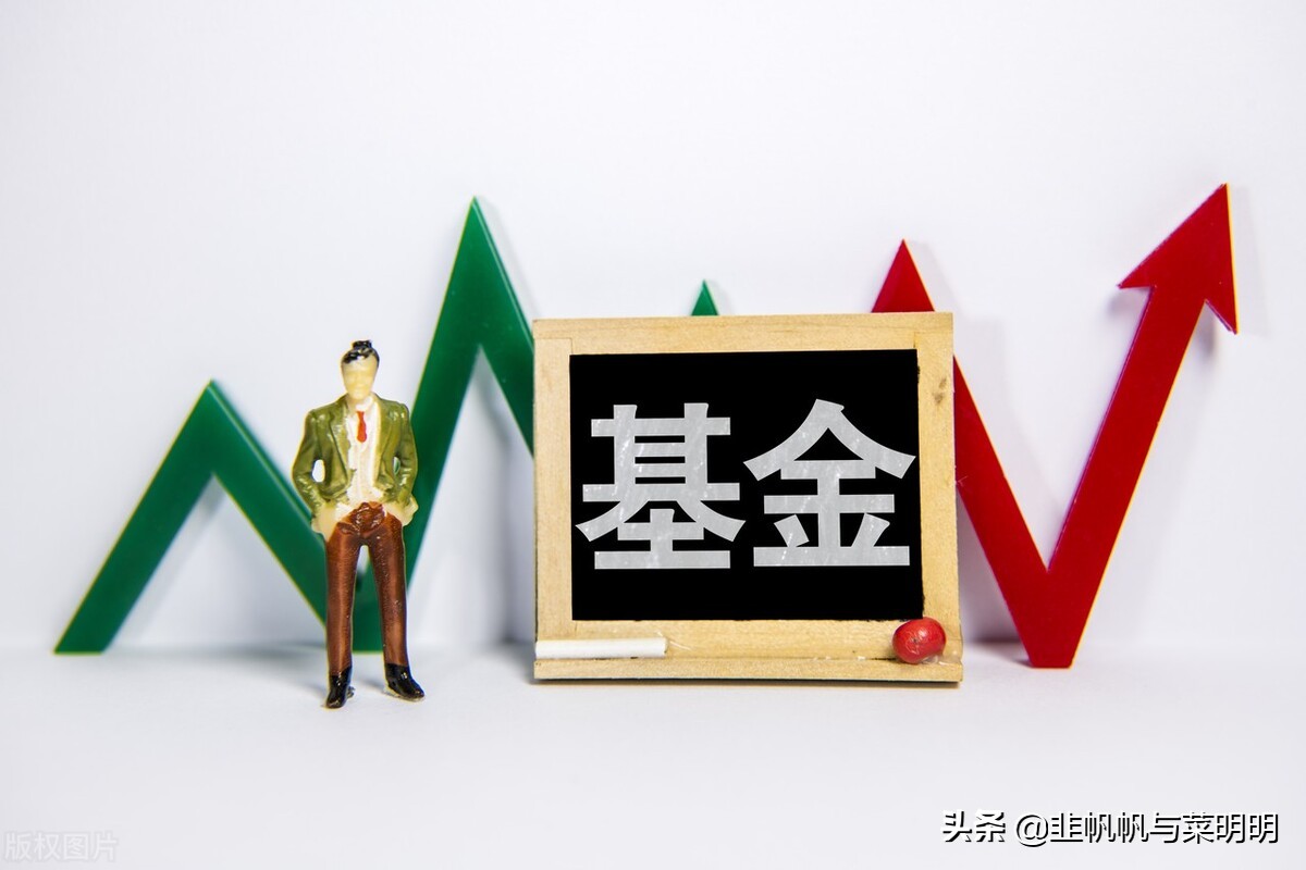 菜明明小白理财课~基金定投和教育金and养老金