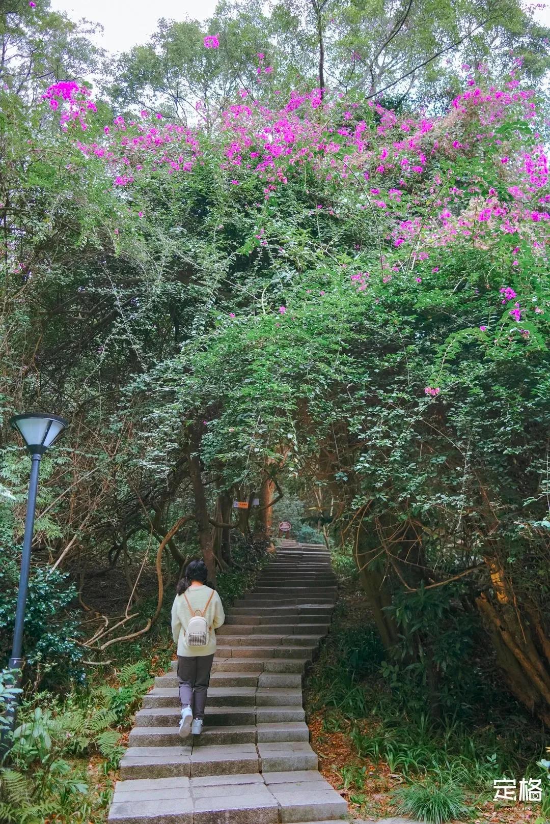 深圳最值得爬的景点,深圳十大最值得爬的山