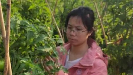 优秀巾帼人物事迹,优秀巾帼人物公示