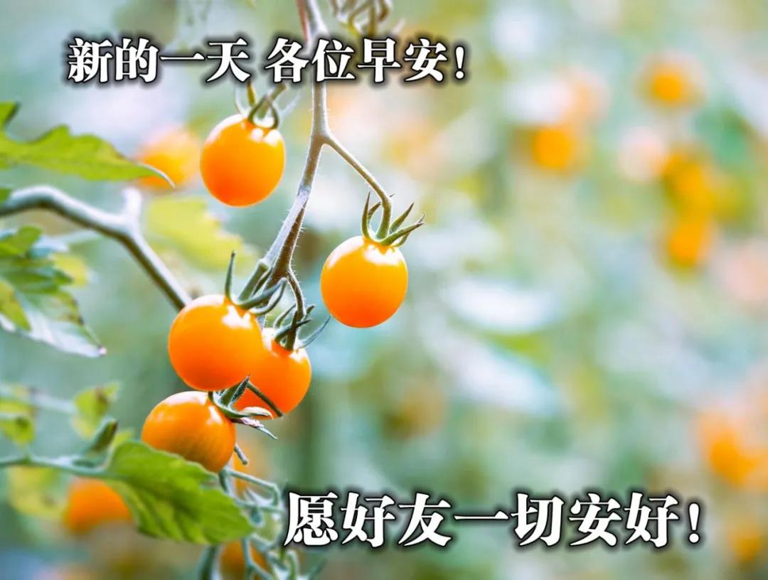 早安愉快带字动态图片,最好看的早安动态图片大全