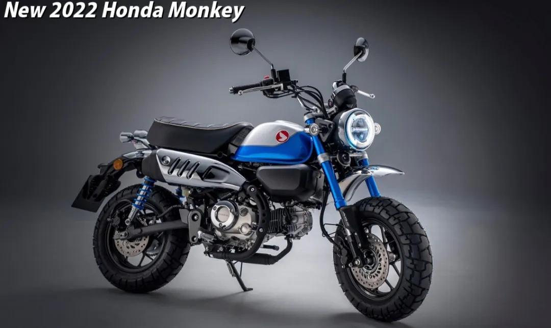 2020本田monkey125,本田monkey104kg