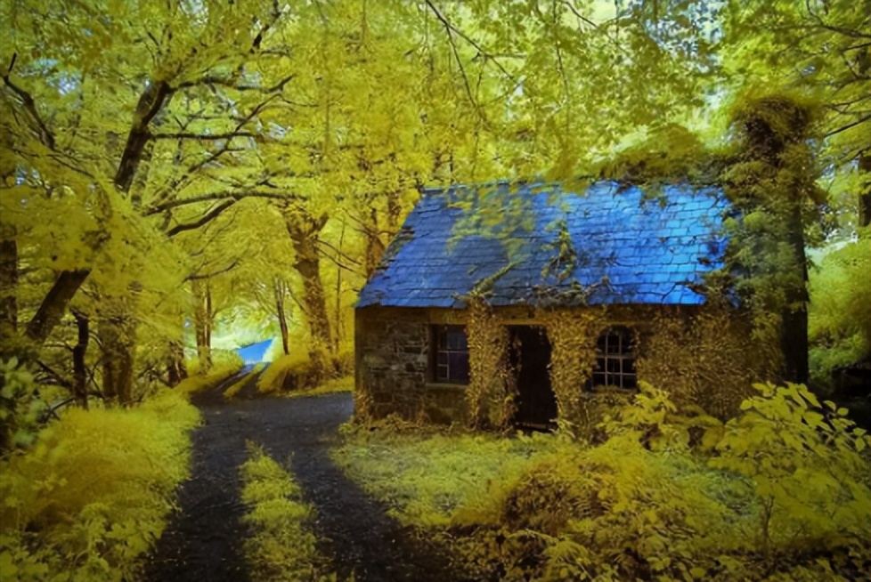 1988年农民救歼6飞行员,1988年被江西农民救起来的飞行员