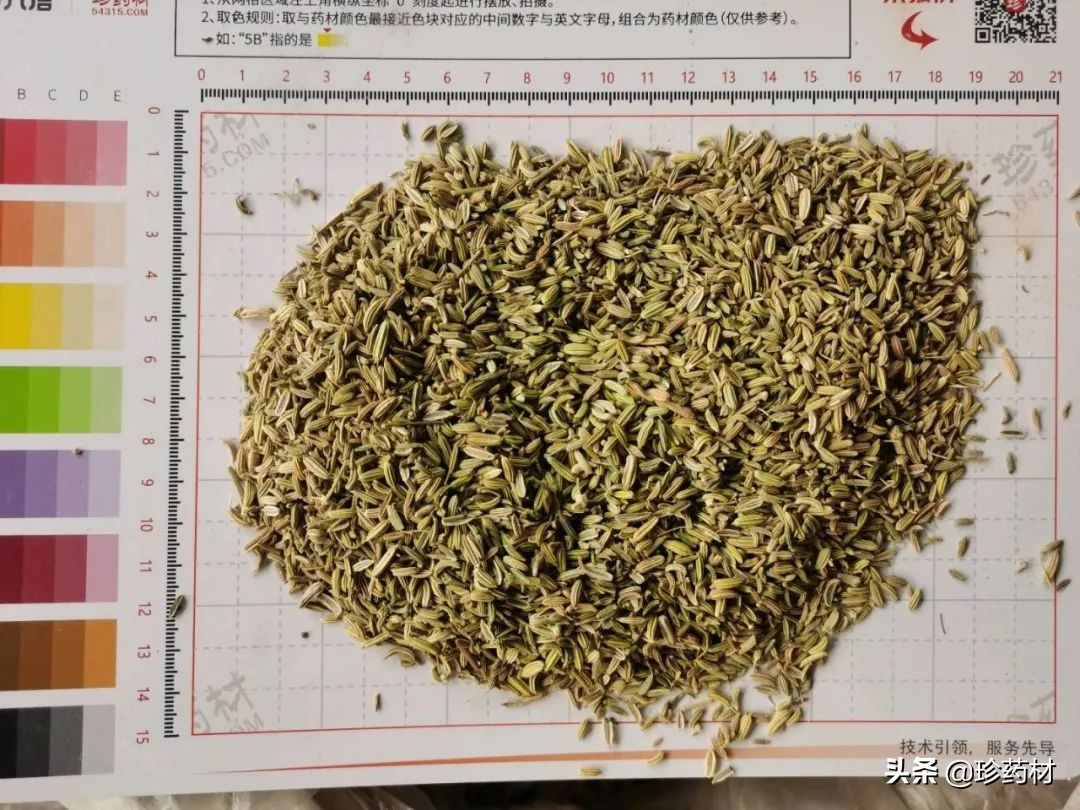 12月27日中药材市场快讯：连翘、柴胡、山楂、僵蚕、板蓝根、菊花