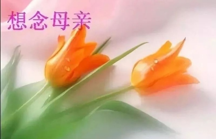 祭母文经典范文,祭母三周年文催人泪下10篇