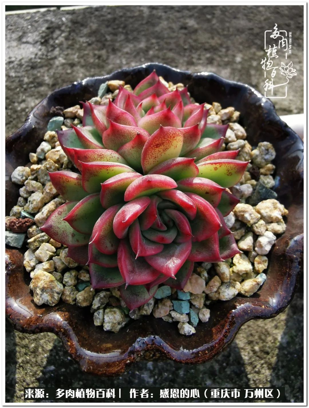 那些不经意却很惊艳的瞬间,不经意间惊艳了时光