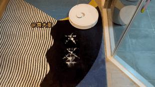 g10spure和p10pro哪个更值得入手,扫拖一体机器人评测石头g20