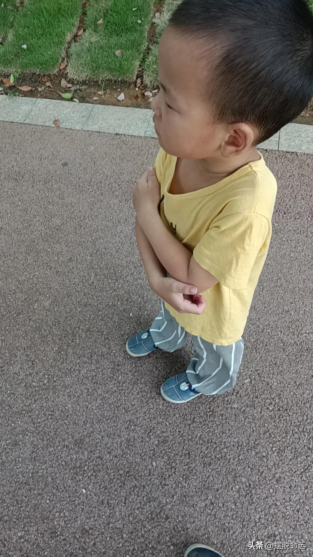 半年在头条赚了12万,头条一个半月赚100块钱