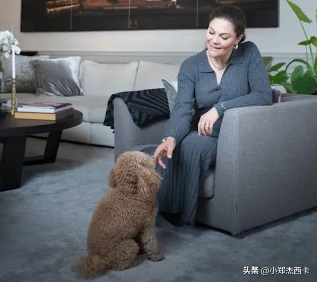 张雨绮最新形象,张雨绮的脸怎么浮肿