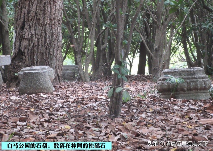 白马公园白马石刻朝代,公园石刻精品欣赏