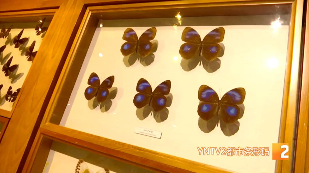 五一博物馆旅游攻略,奇妙之旅五一去哪儿