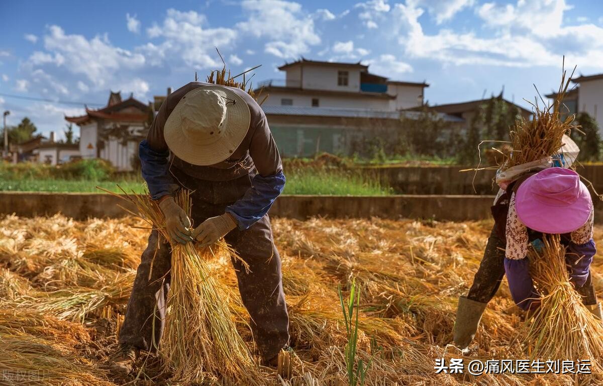 夏天痛风患者日常注意事项有哪些,急性痛风发作期饮食吃什么