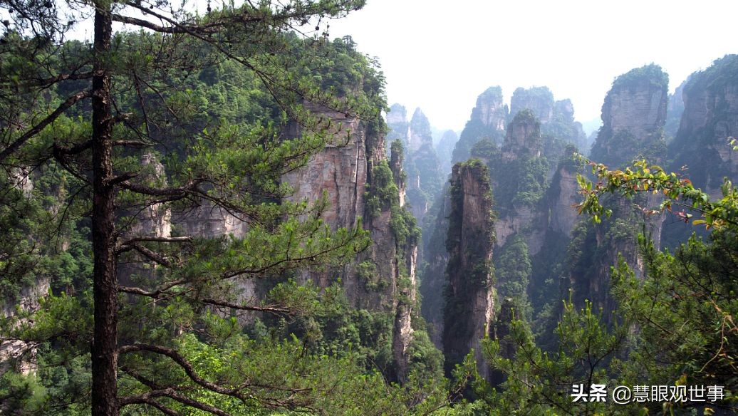 侯海洋基层风云全文免费阅读,侯海洋基层风云完整版免费听