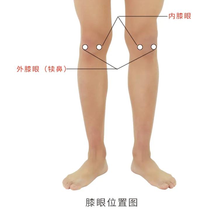 膝五针治疗什么,膝关节痛三针疗法