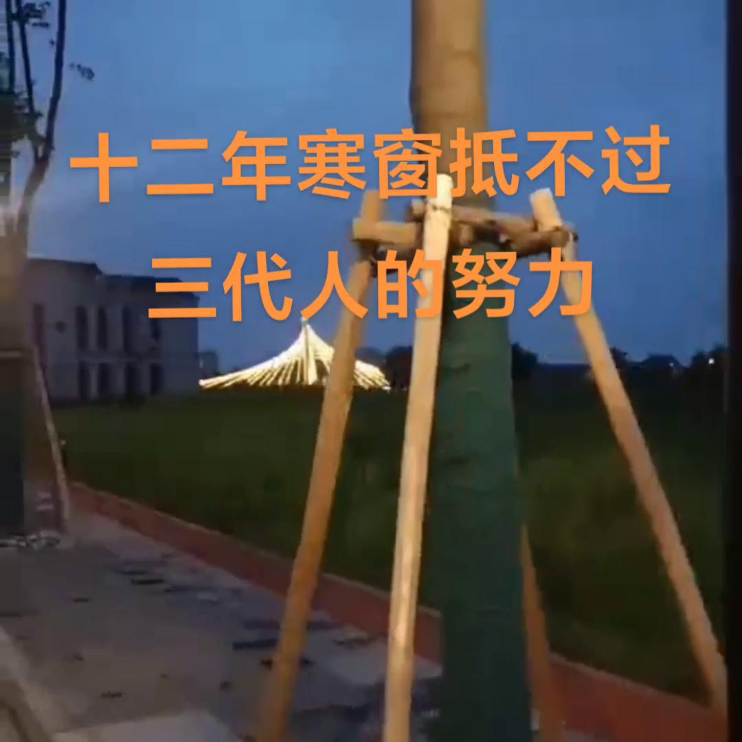 融入新发展格局,融入上海人圈子