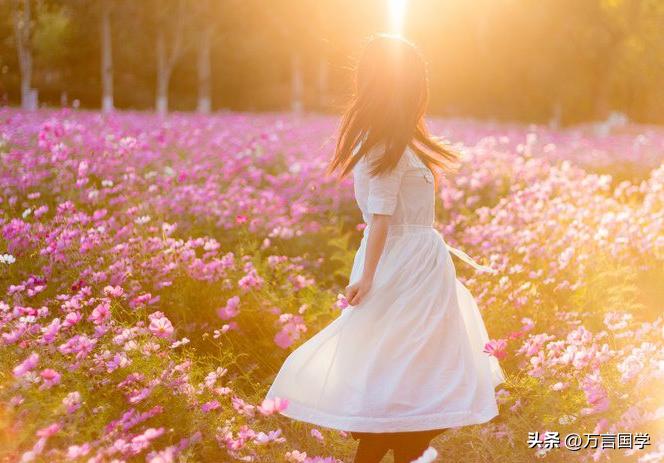 往往深藏不露的人才是最后的赢家,不聪明的人就该放弃人生吗