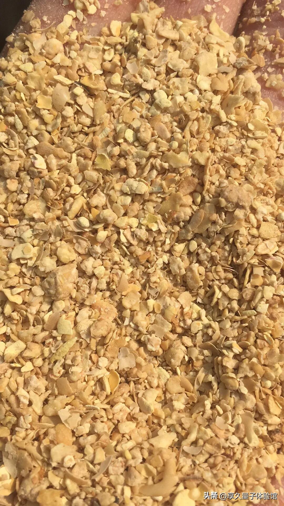 共和国长子房企,共和国长子百科介绍