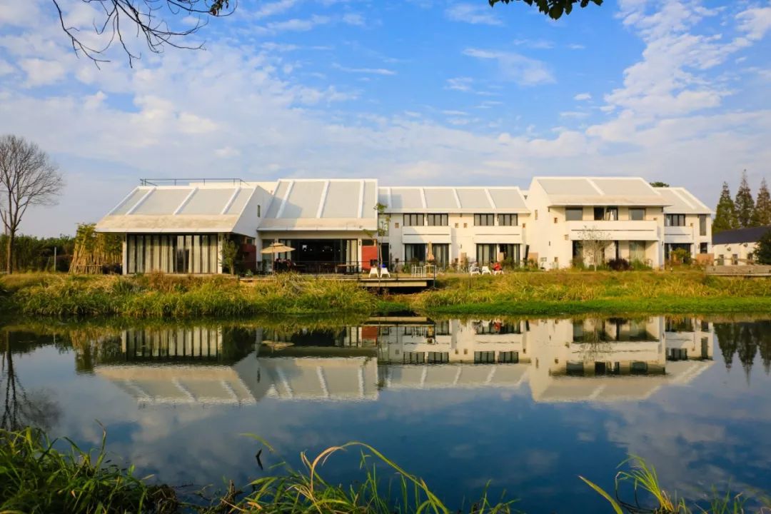 苏州姑苏区最值得推荐的民宿,苏州阳澄湖美人腿农家乐