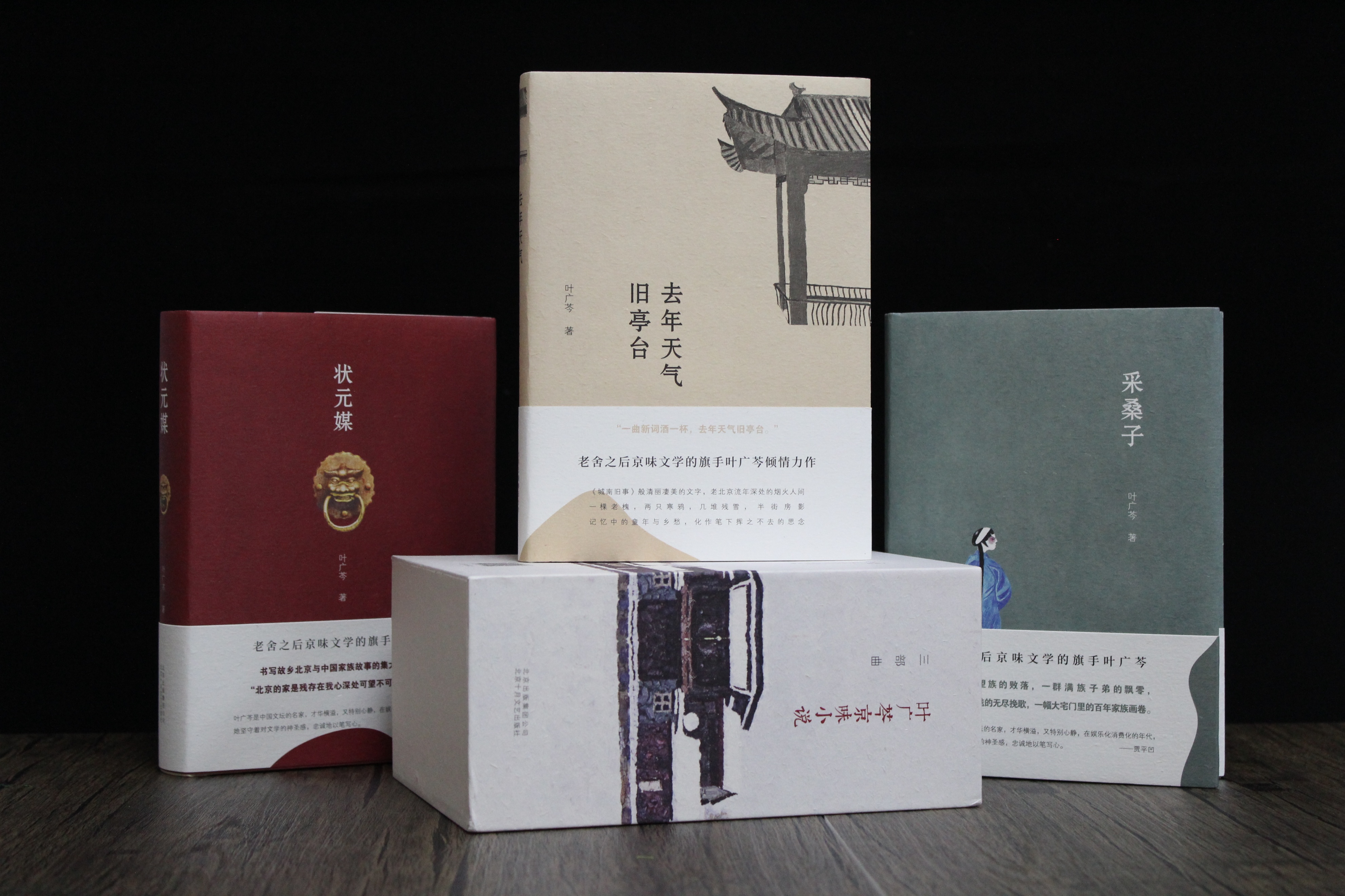 状元媒叶广芩电视剧,叶广芩状元媒免费