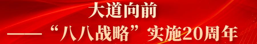 嘉兴在八八战略指引下20年的变迁,嘉兴八八战略