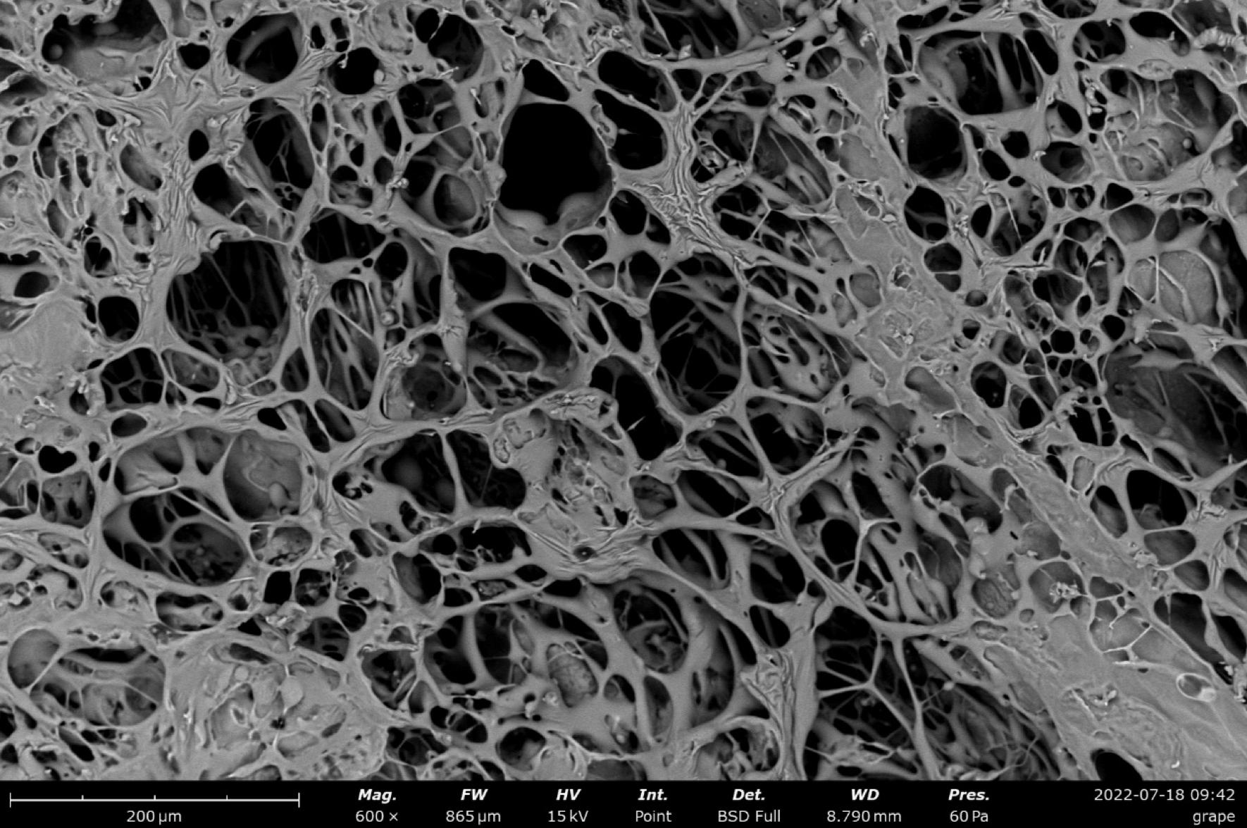 飞纳电镜和含水样品的冰雪奇缘