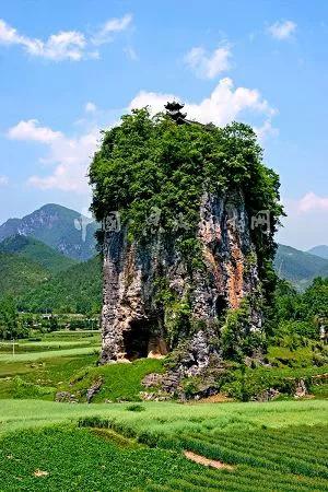 家乡的发展建设实践报告,家乡发展建设方案怎么写