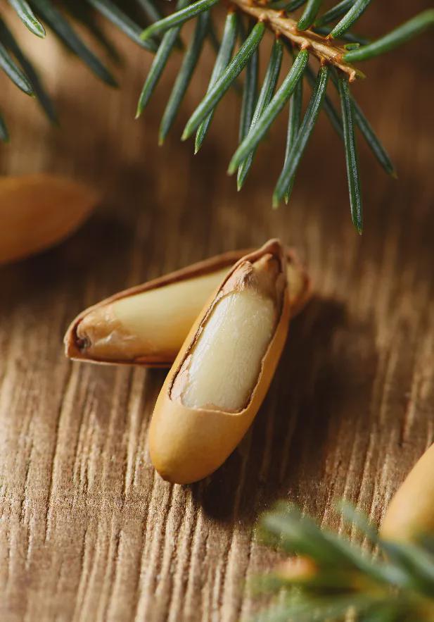 过年必买的10种年货推荐,有什么事年后再说