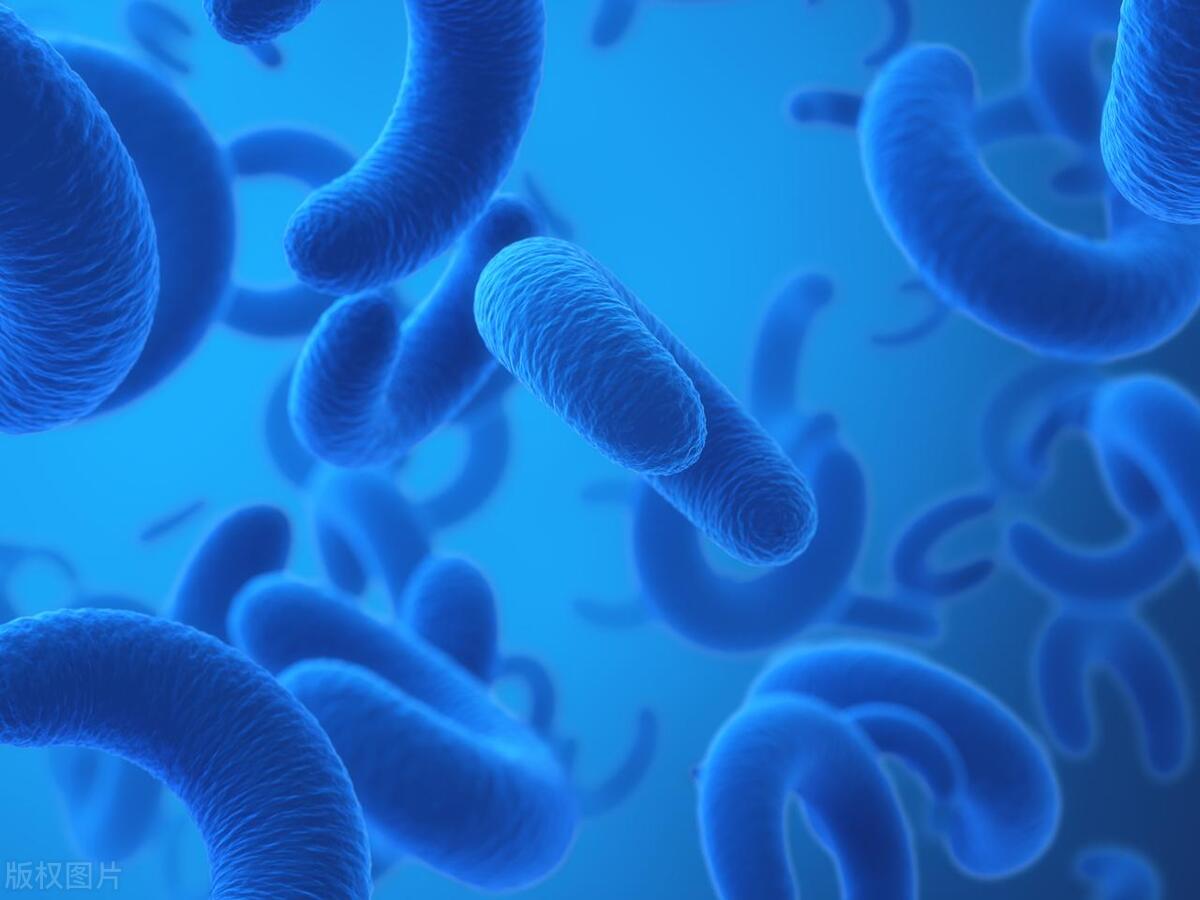 稽留流产后血有股臭味,流产一个月有腥臭味