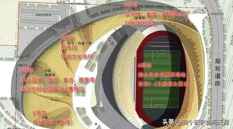 沈阳奥体中心体育场国足福地,国足的摇篮在哪