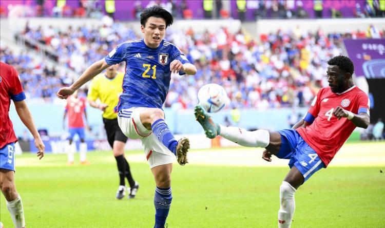 世界杯日本国足太太团曝光,世界杯日本美女太太团