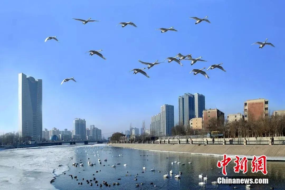 用信用卡维持生活,透支自己的信用卡