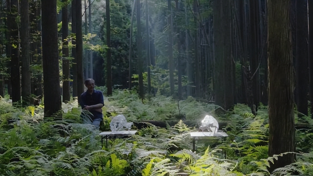 “停止内卷，2亿中国年轻人会爆发新的高度”