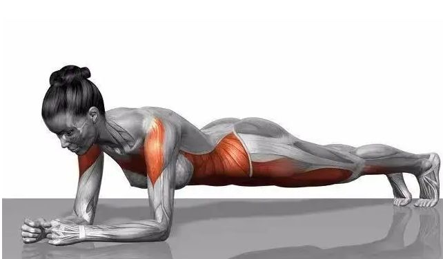 硬化症怎样调理身体,硬化治疗