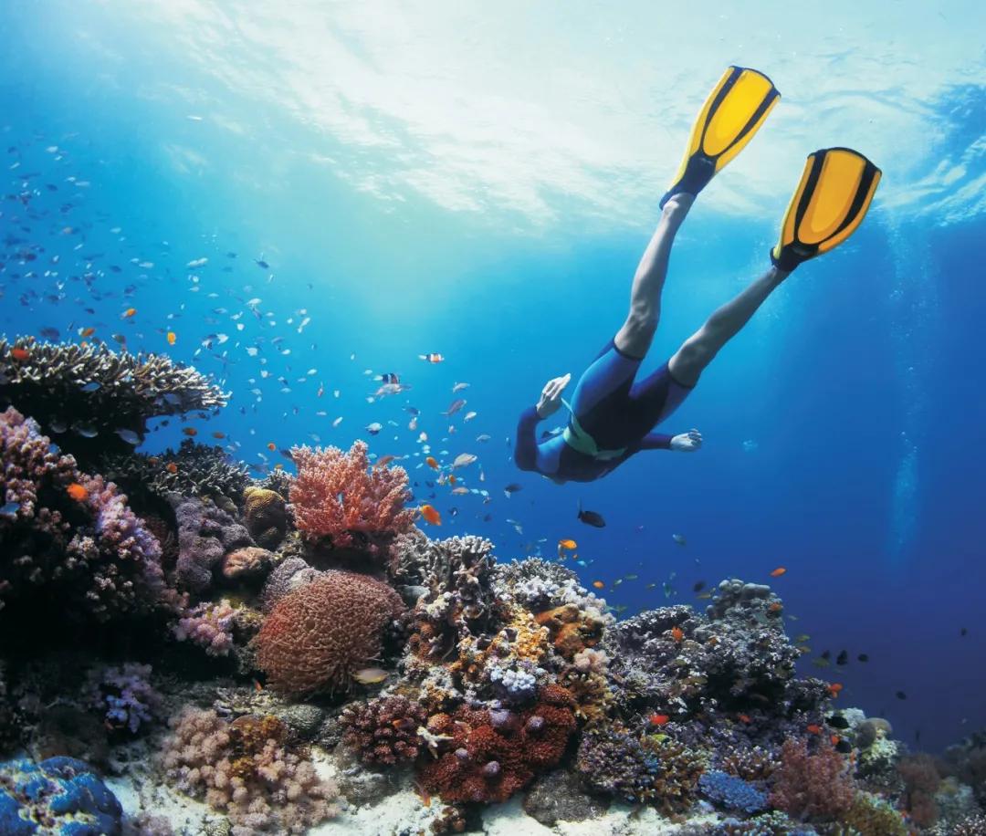 自由潜水美人鱼水下摄影,水下自由潜水美人鱼