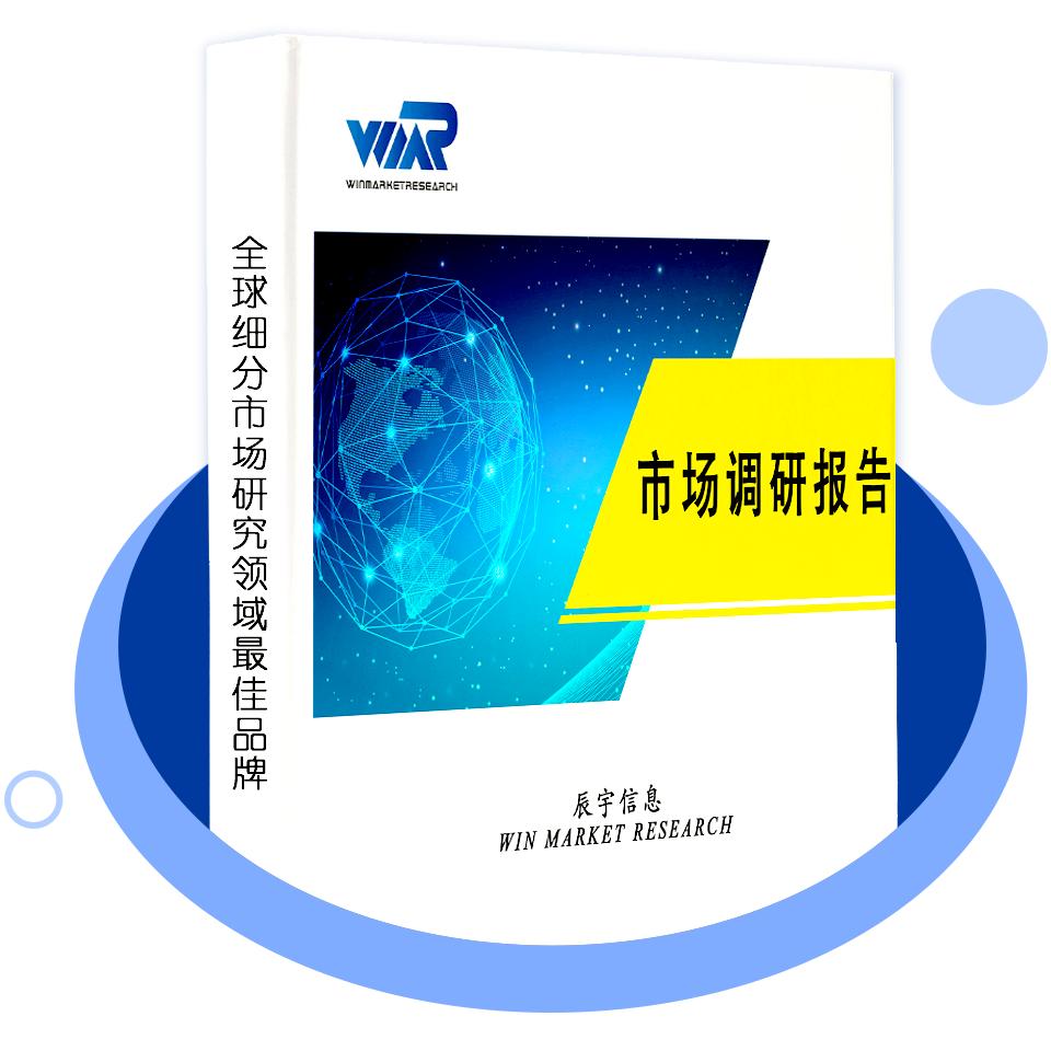 B2B虚拟专用网络（VPN）市场报告-深入洞察市场趋势的关键
