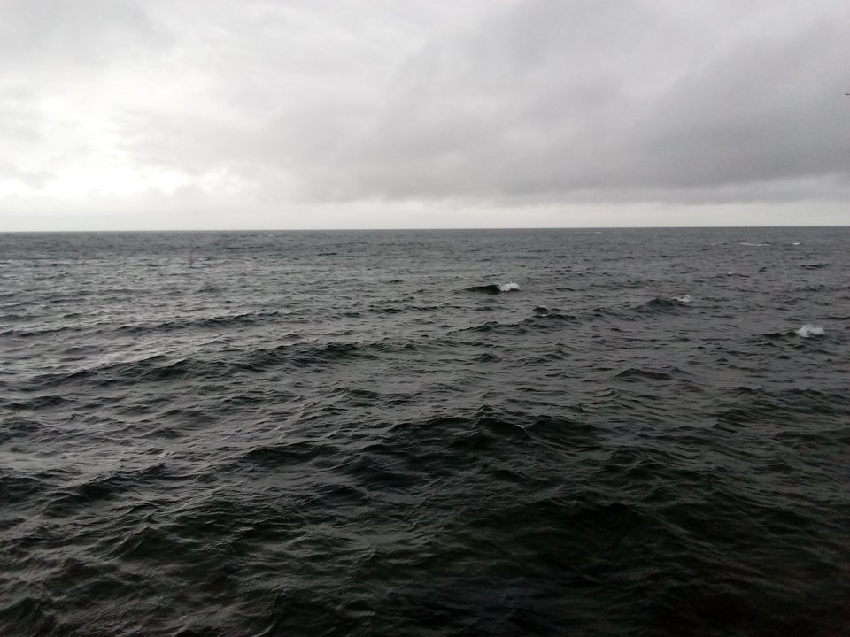 海洋巨蟒真实照片大全,海洋巨蟒真实图片大全