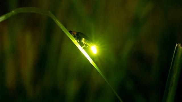 100句精辟的人生哲理的古语句子,150句经典古诗词饱含哲理意味深长