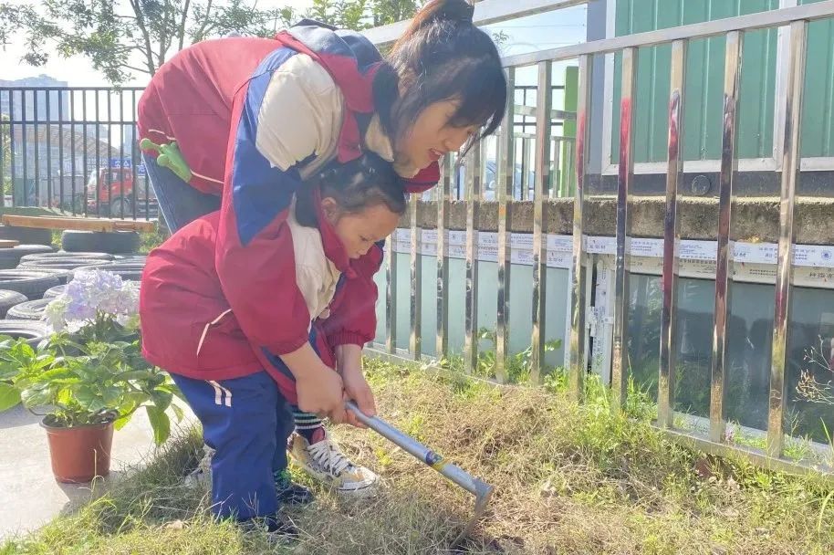 洪雅县第四幼儿园叫什么名字,洪雅第四幼儿园在哪里
