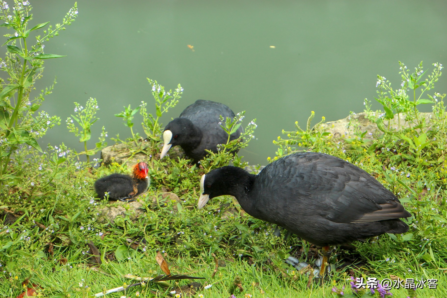 英国之行伦敦,英国英格兰伦敦之旅