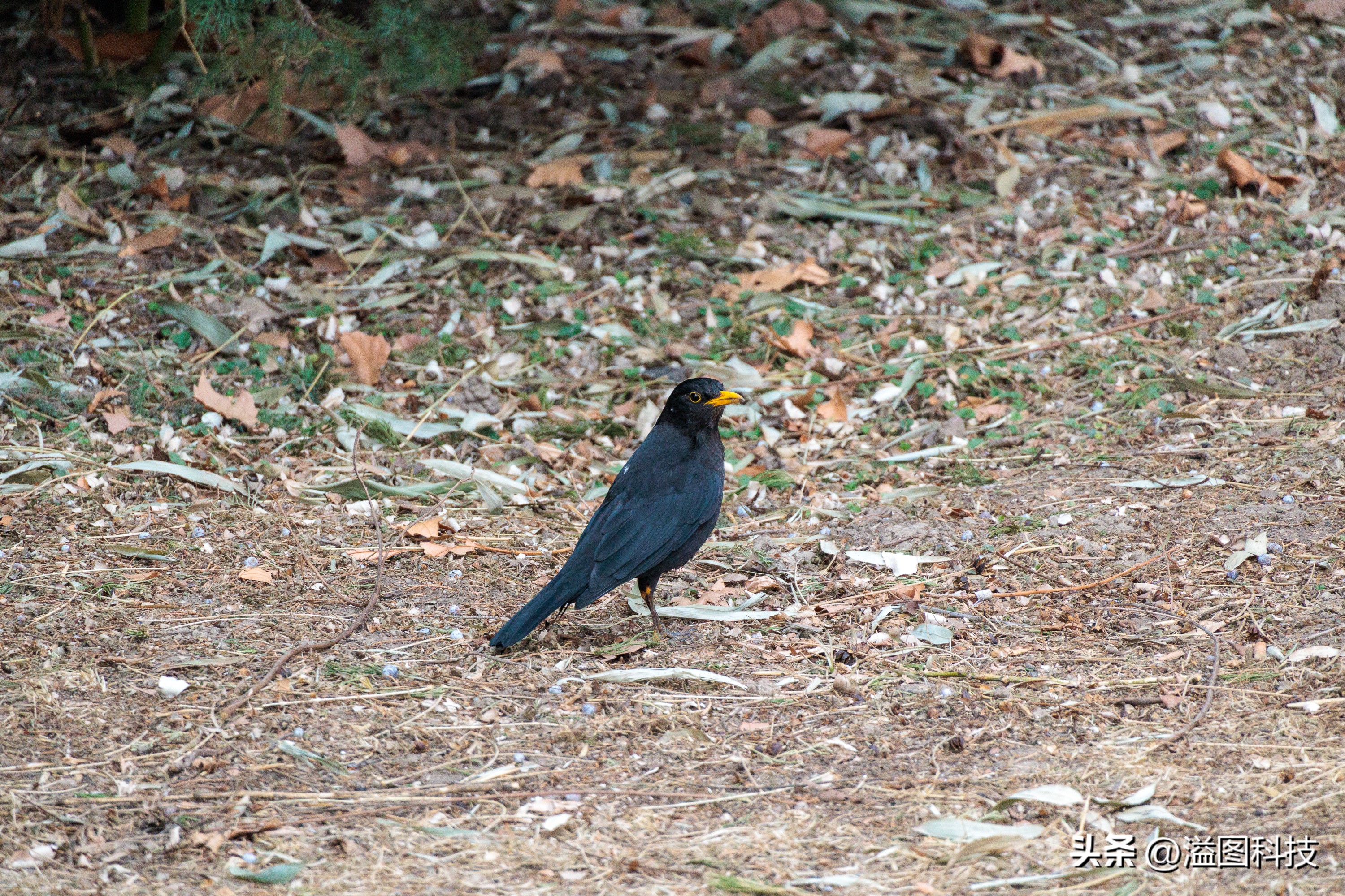 佳能rf-s55-210mm,和儿子感受大自然的气息和美景