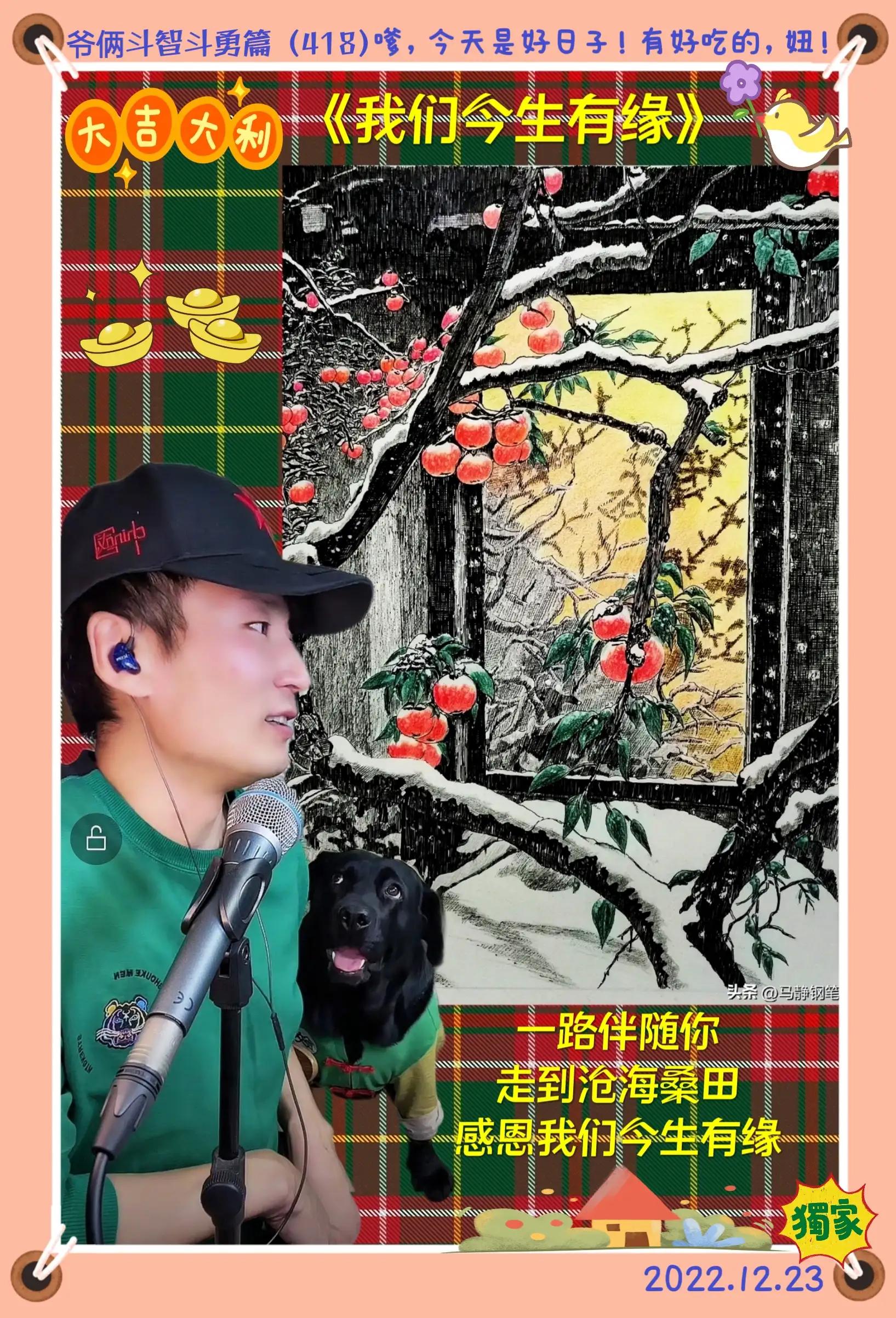 随心所欲32,随心随意老院子