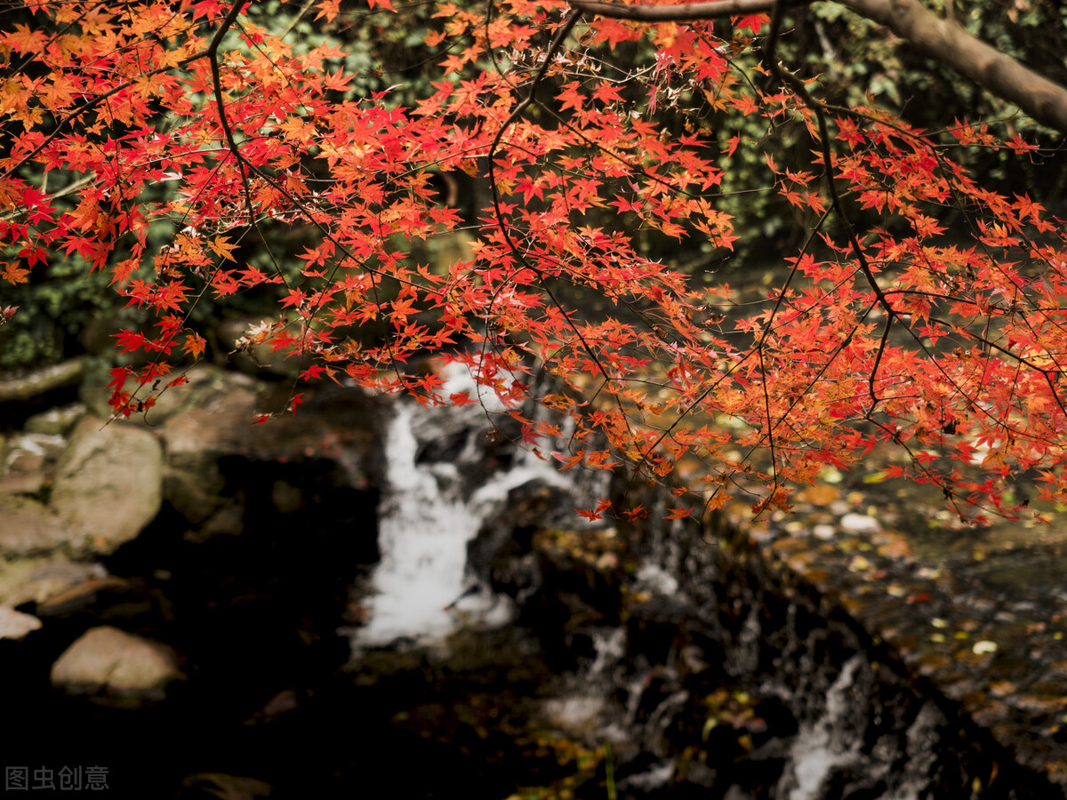 打卡杭州10个风景绝佳的赏秋地,杭州秋天最值得玩的地方