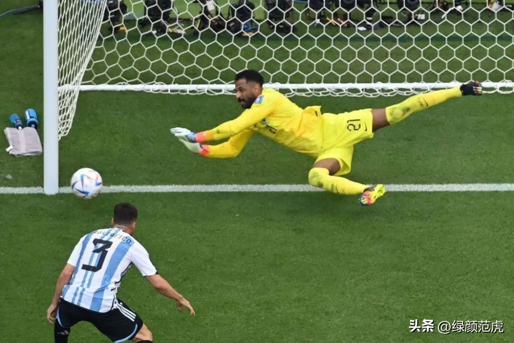看世界杯分析,世界杯俄罗斯门将