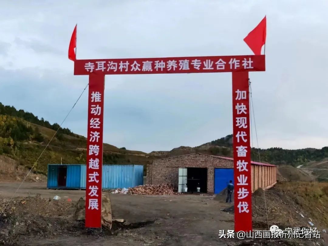 比担当晒亮点|宁武县涔山乡壮大村集体经济项目情况简介