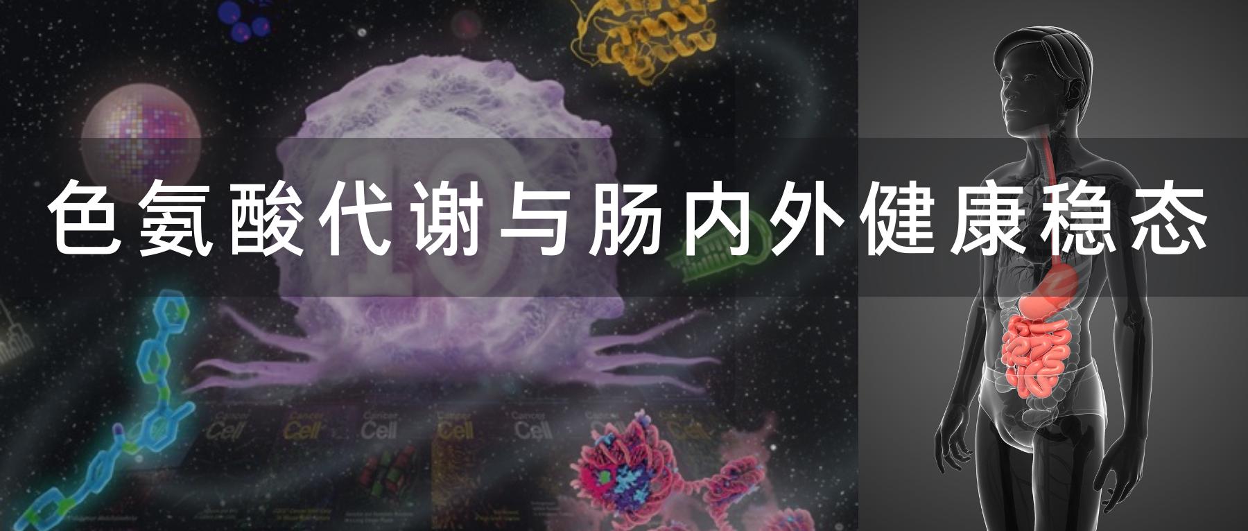 色氨酸代谢,色氨酸分解快会干嘛