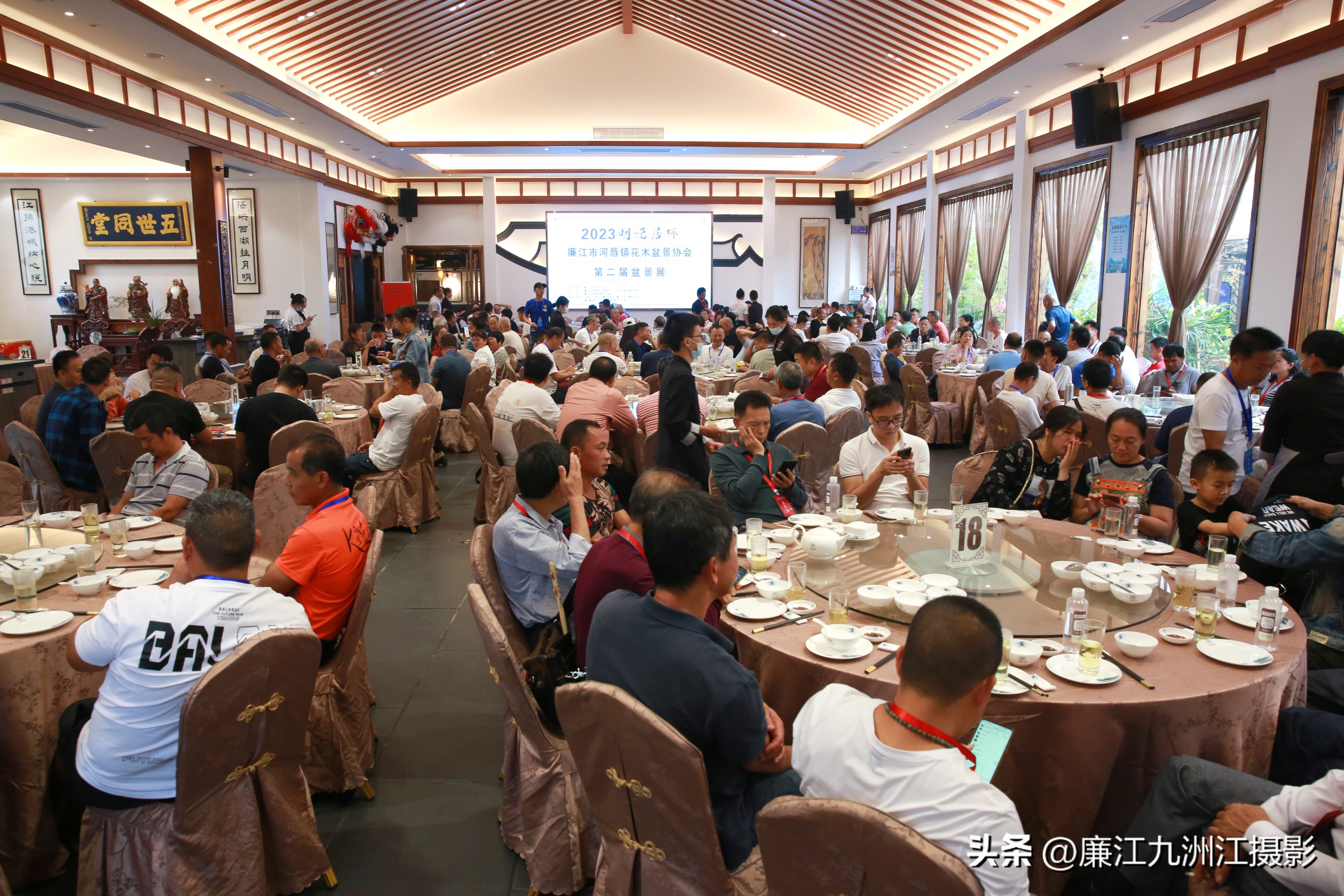 最高端的盆景展,一场惊艳的盆景展