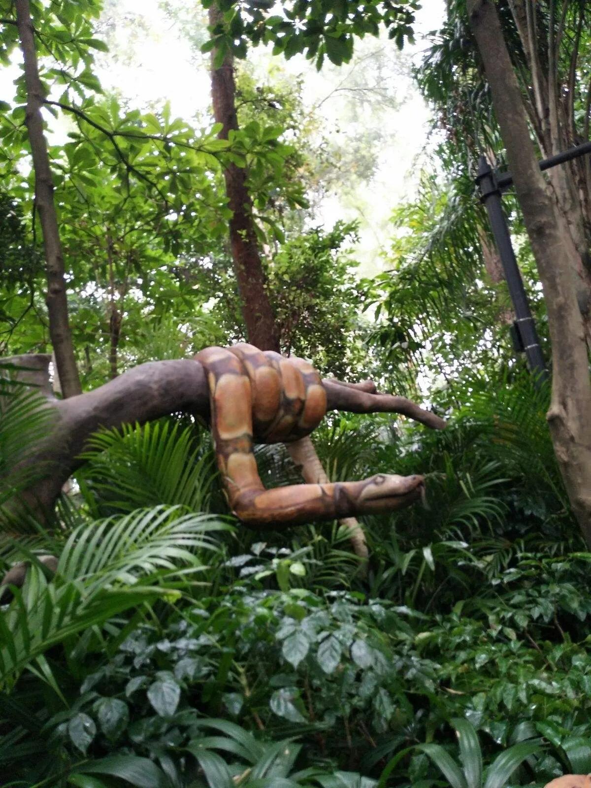 广州长隆野生动物园全部动物,广州长隆野生动物园所有动物介绍