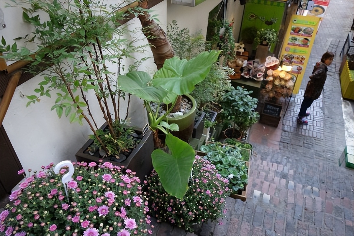 未曾想过的首尔之旅（8）——梨花女子商业街