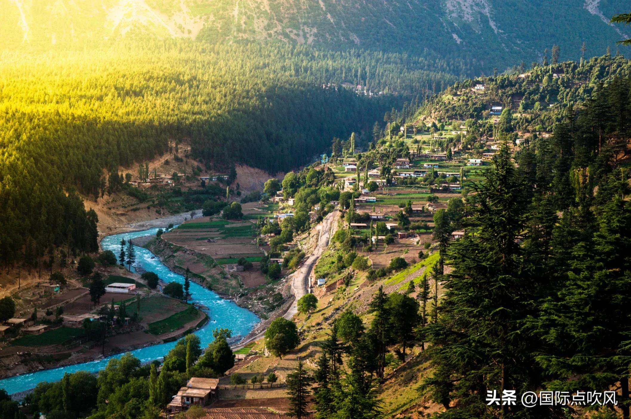 巴基斯坦人智商,巴基斯坦军事实力为什么这么高