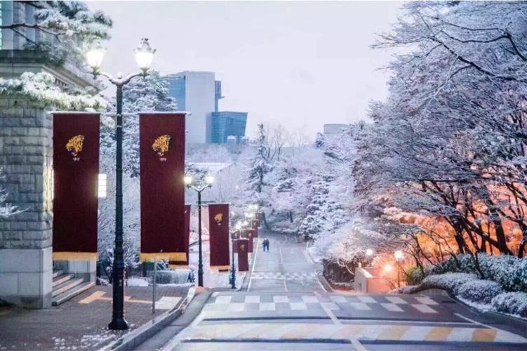 韩国高丽大学如何,高丽大学留学机构